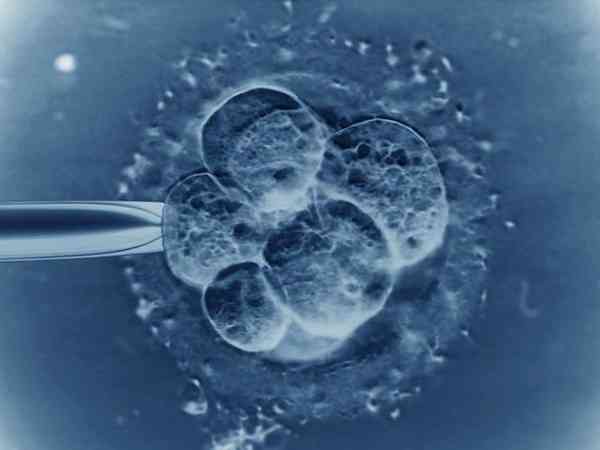 冻胚8c4是最好的胚胎吗？