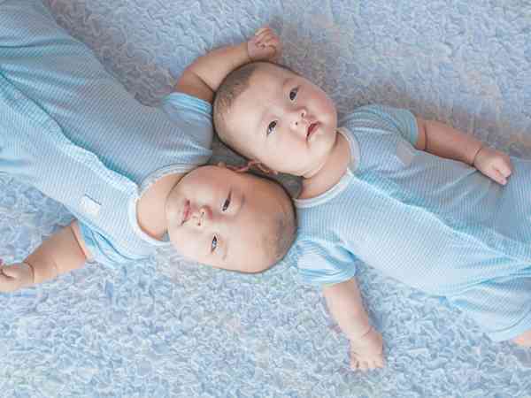 双胞胎大排畸为什么那么难？