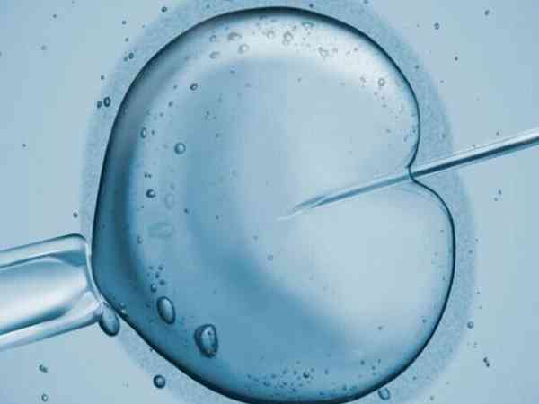 养囊成功率在于精子还是卵子？
