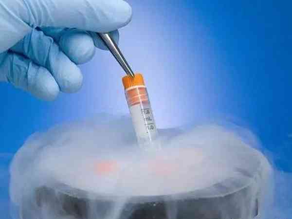 有做试管用自然周期方案移植冻胚成功的姐妹吗？
