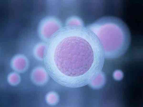 维生素d不足影响卵子质量吗？