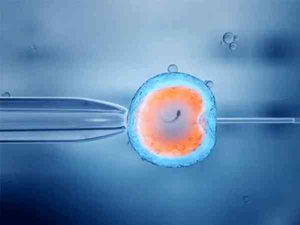 管婴儿自然周期方案取卵后怎么移植冻胚？