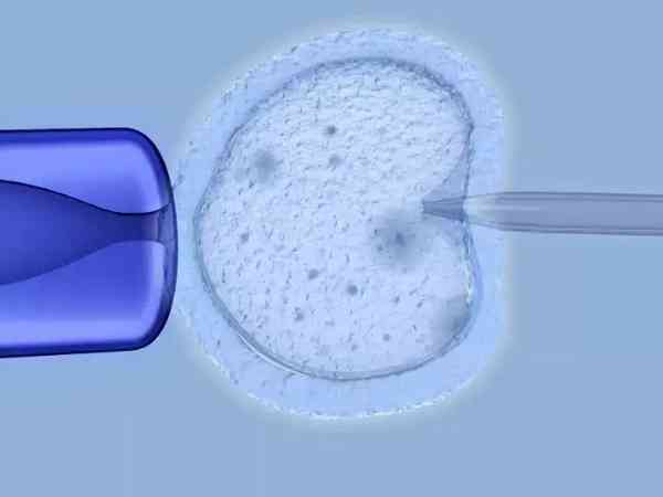 三代试管只放一个囊胚吗？