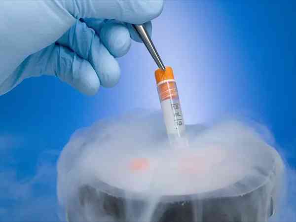 冻胚能养成囊胚吗？