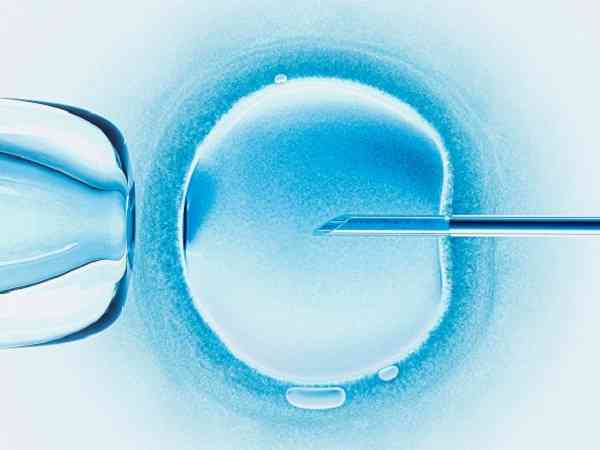 养了5天和6天的囊胚移植哪个好？