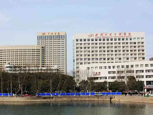 武汉大学中南医院哪个医生做三代试管成功率高？