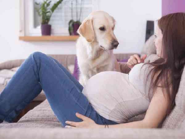 孕肚形状判断男女是在怀孕第几个月？