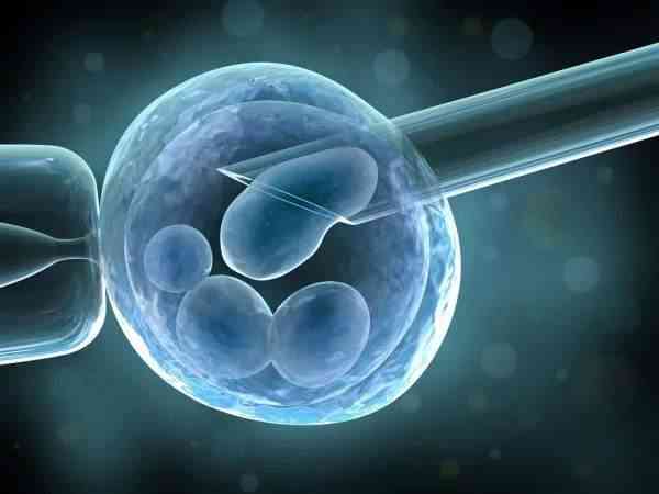 一次移植2个卵裂胚着床成功率高吗？