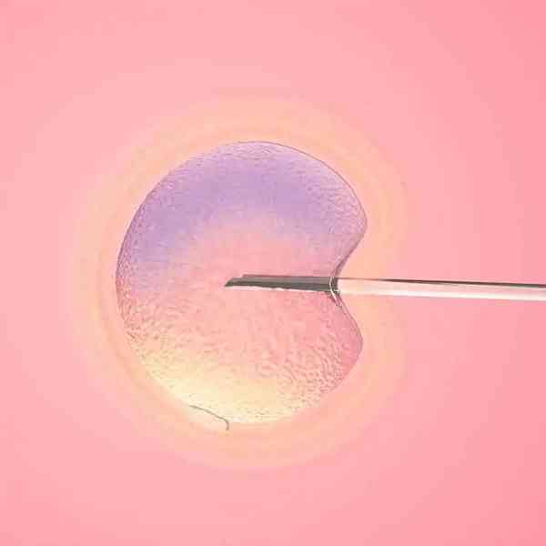 囊胚移植几天能测到