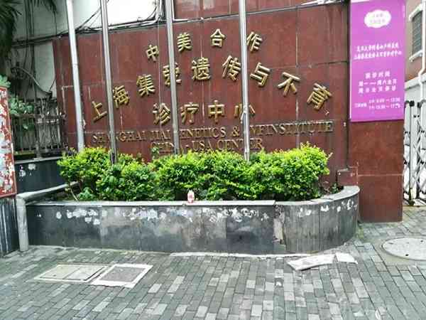 上海集爱医院做试管的费用是多少？