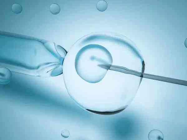 胚胎胶提高着床率