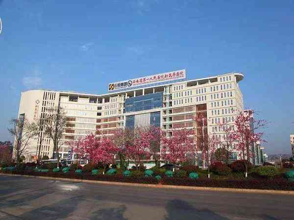 云南省第一人民医院试管医生成功率高吗？