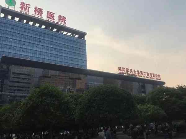 重庆新桥医院做试管婴儿需要多少钱？