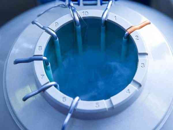 移植冻了4年的5cb囊胚成功率会下降吗？