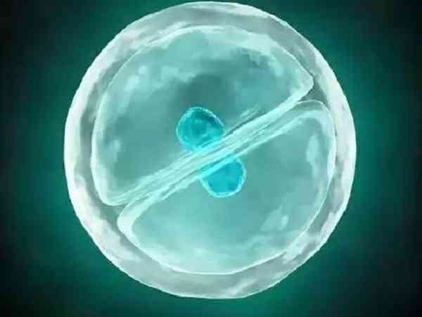 5aa和4aa囊胚哪一个胚胎的质量更好？