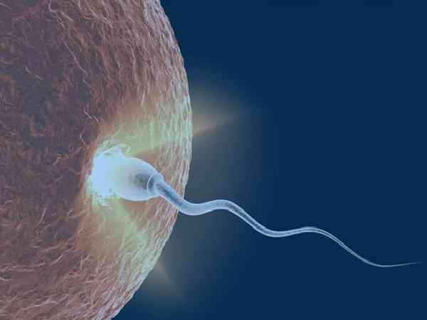 精子成活率百分之一做二代试管怀孕几率大吗？