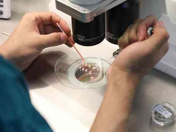 取了十一个成熟卵泡一般配得出几个胚胎呢？