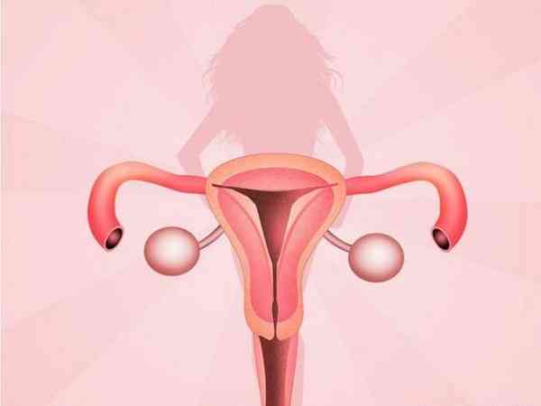 C型子宫内膜可以移植囊胚吗？