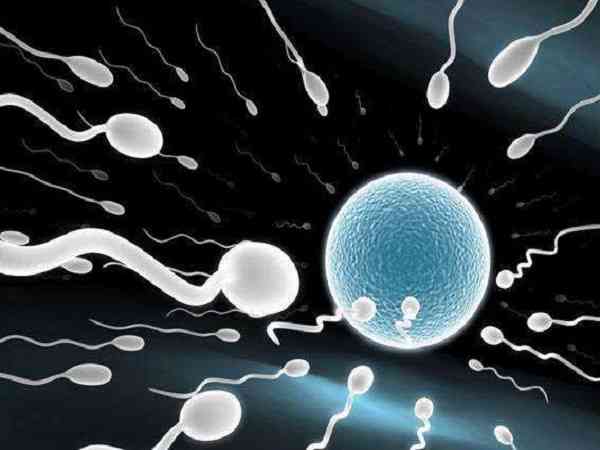精子dna碎片率达到百分之几会导致胎停？
