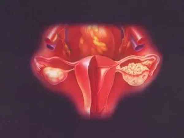 人工周期内膜厚度多少适合移植胚胎？