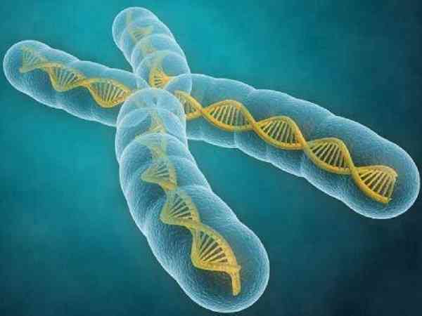 三代试管生下有问题的孩子是染色体的原因吗？