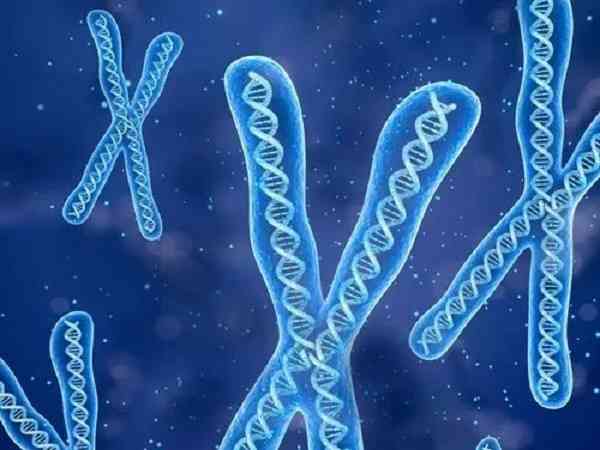 染色体变异的五种类型有哪些？