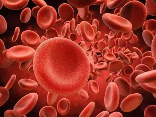 A型血可以给ab血型输血吗？
