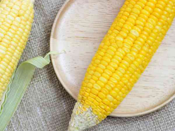 囊胚移植后能不能吃玉米