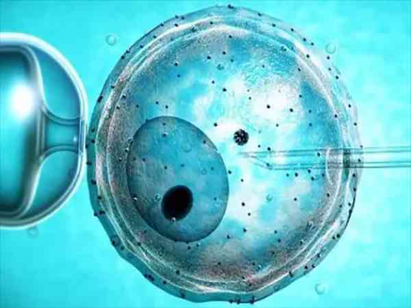 冷冻囊胚可以做三代筛选吗？