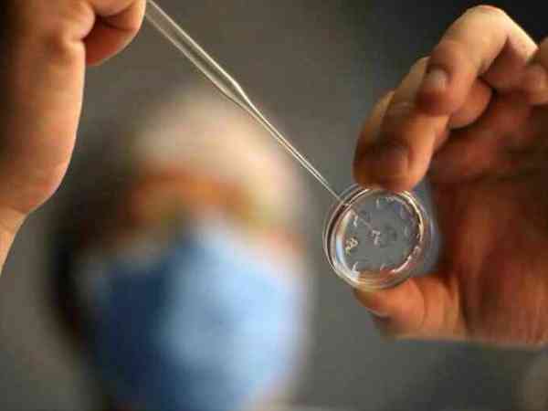 移植胚胎几天苏醒呢？