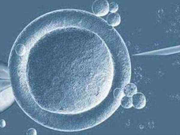 移植的鲜胚能在子宫中存活多久呢？