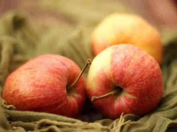 冻胚移植后吃苹果好不好