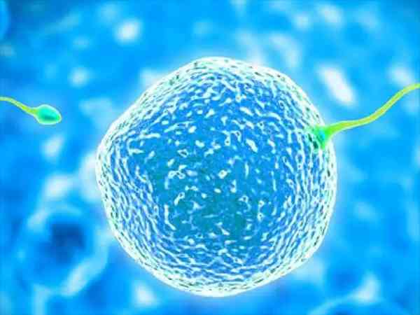 胚胎发育迟缓会影响HCG翻倍吗？