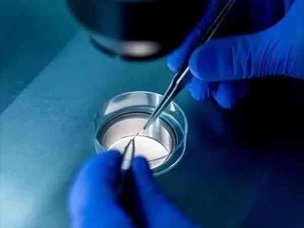 能养成为囊胚的都质量好的胚胎吗？
