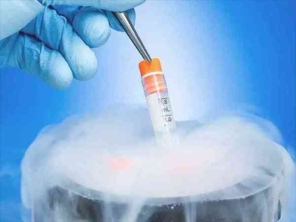 自然周期多久移植冻囊胚？