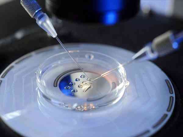 移植后14天的胚胎什么样？