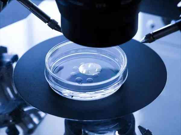 间苯三酚能帮助胚胎着床吗？