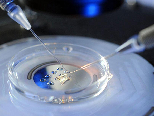 俄罗斯NGC有独立胚胎实验室