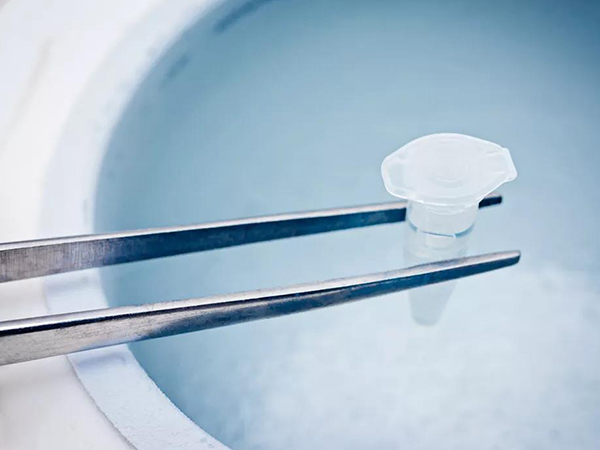 冷冻保存精子的环境是液氮中