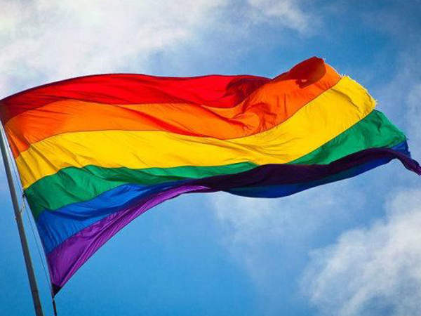 彩虹旗是象征性少数群体的旗帜