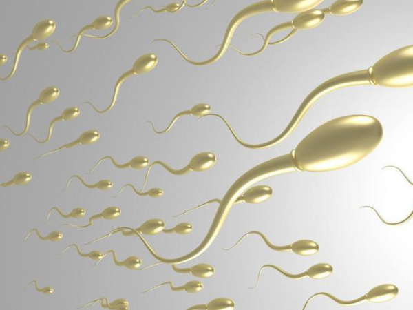 精子变黄可能是出现炎症