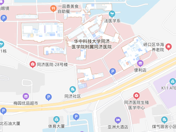 同济医院在解放大道1095号