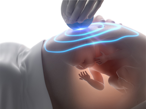 妊娠3个月后胎儿大脑开始发育