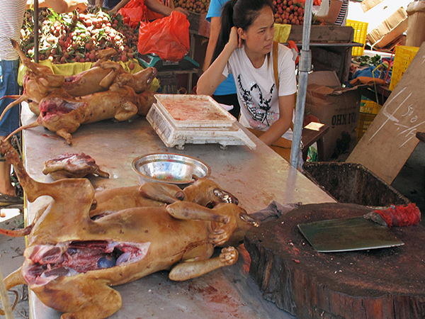 白切狗制作方法简单