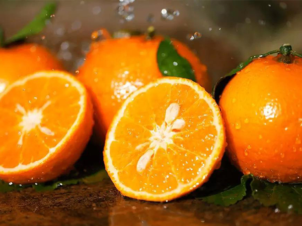 橘柑的功效