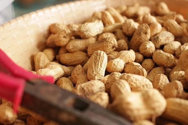 花生和蕨菜一起吃会使营养价值降低