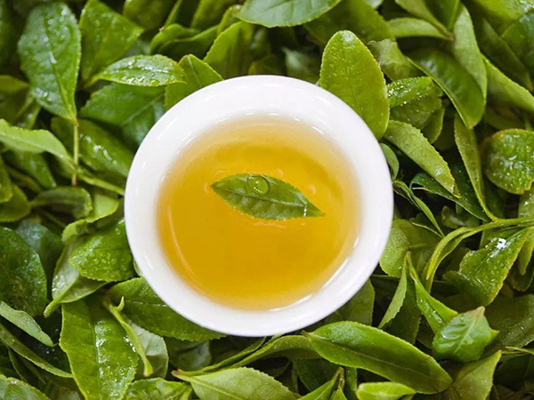 绿茶有预防妊娠水肿的作用