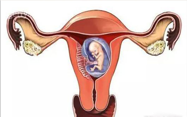 孕囊数据生男生女预测方法