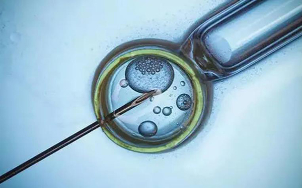 绝经人群怀孕最佳途径是供卵试管婴儿