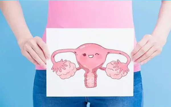 患有始基子宫的女性不能怀孕